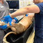 V-trough for X-rays/Pet Positioner